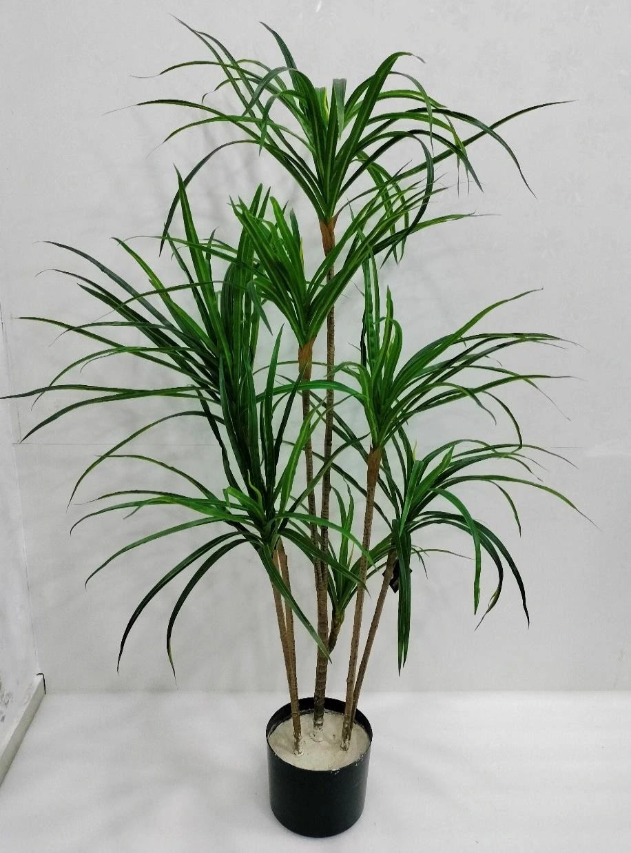 Yucca Long Leaves Plant x7 Without Base 140cm